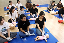 유아교육 연수 및 자격증 취득 사진