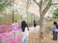 문경대학교, 봄꽃 향기로 가득한 캠퍼스는 생동감으로 가득