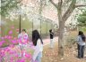 문경대학교, 봄꽃 향기로 가득한 캠퍼스는 생동감으로 가득
