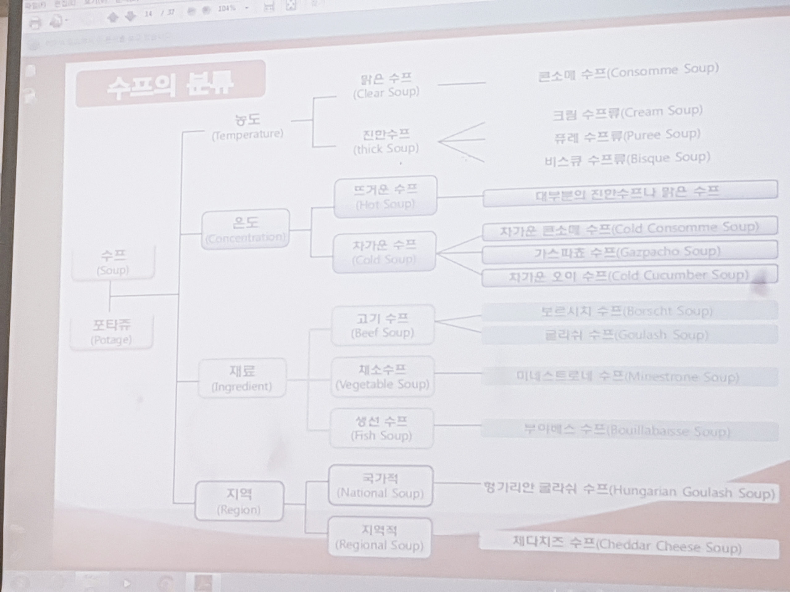 스프의 분류